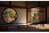 【名古屋駅発】＊日帰り昼食付＊『京都　鷹峯の紅葉　～常照寺・源光庵～』1
