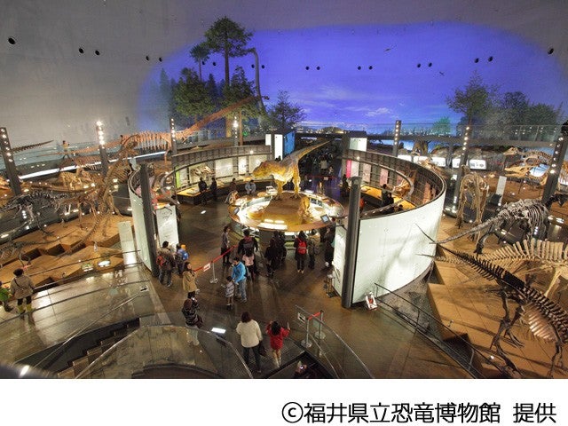 ■夏休み企画！　恐竜王国福井満喫　福井県立恐竜博物館入館＆化石発掘体験と恐竜の森探検　日帰りバス付き　2日目は金沢市内を自由観光！　金沢市内ホテルチョイスプラン　1泊2日1