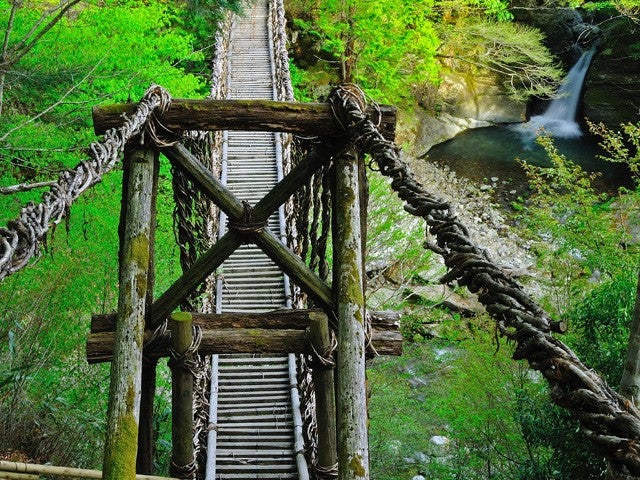■【往復徳島空港利用】JALで行く徳島！絶景・伝統・アート・味覚が彩る四国旅♪四国周遊にもおすすめ！四国スーパーチョイス　フリープラン　2泊3日3