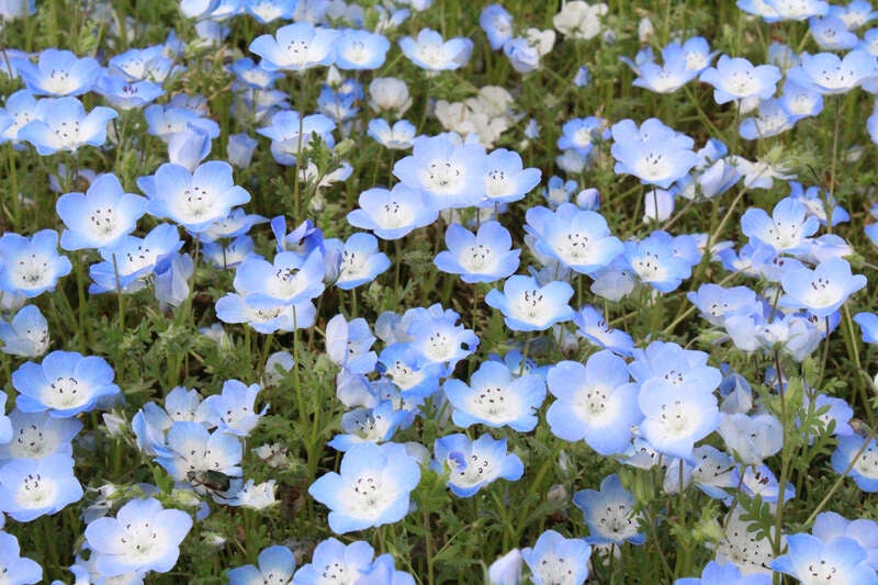 【彦根・八日市発】 母に捧げる温泉＆グルメミステリーツアー２日間1