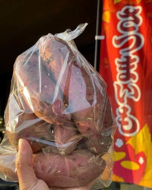 【栃木県内発】 一面真っ赤な絨毯！約500万本の巾着田「曼珠沙華」　秋の味覚！さつまいも詰め放題とブランド豚「ゴールデンポーク」のとんかつ膳　日帰り2