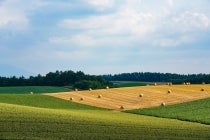 【金山駅南口発】〔遊山〕＊５泊６日１５食付*『太平洋フェリー特等室で行く、富良野・美瑛・大雪山・摩周湖の絶景と名湯を巡る６日間』3