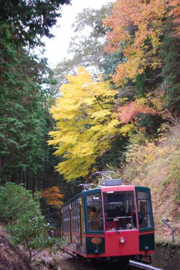 【大阪府内発】 4つの乗り物をお楽しみ！秋の比叡山横断ルートとびわ湖畔のホテルでローストビーフ付ランチビュッフェ　日帰り