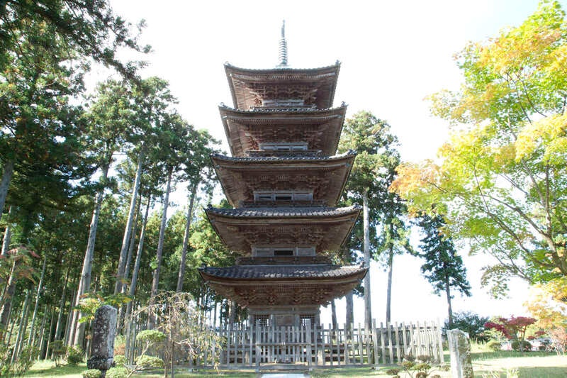 【山形県内発】 朱鷺めき桜の佐渡ヶ島　2日間2