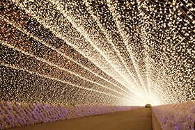 国内最大級の煌めき　なばなの里イルミネーション2