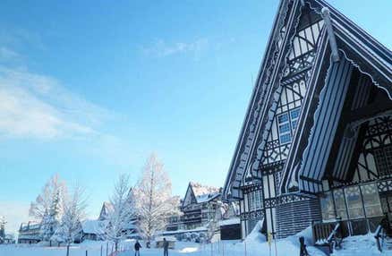 【往復新幹線指定席で行く】「ホテルグリーンプラザ上越」 2泊3日【滞在中リフト入場券付】！レンタルセット＆ウェア付【夕食・翌朝食付】