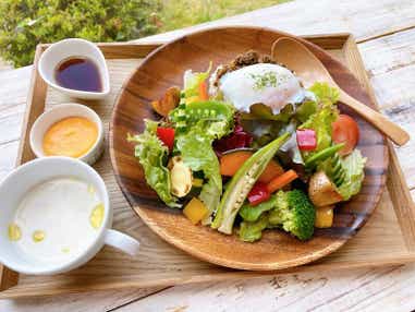 【神奈川県内・町田発】 房総の秘境へ!紅葉の時期だけ特別運行『亀山湖紅葉クルーズ』 紅葉の名所『養老渓谷・粟又の滝』・八天堂カフェリエきさらづ 日帰り