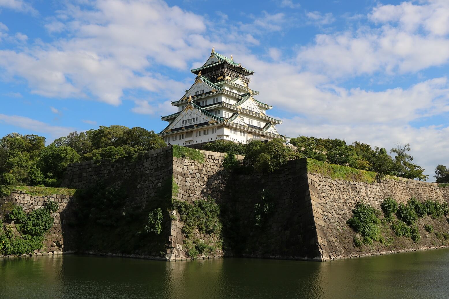 ～名門大洋フェリーで行く～吉野千本桜と大阪城公園🚢🚢フェリーで宿泊🚌宿泊バスツアー2