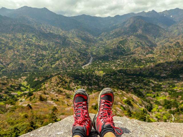 ■往復航空機利用！【2日目：ガイドと行く★白谷雲水峡と太鼓岩トレッキング（in楠川(くすがわ)歩道コース）！】お宿は自由にお選びいただけます！　3泊4日2
