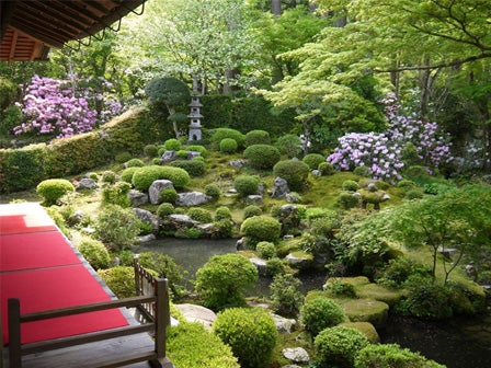 中部バス旅　京都大原三千院あじさい鑑賞＆上賀茂神社特別参拝！1