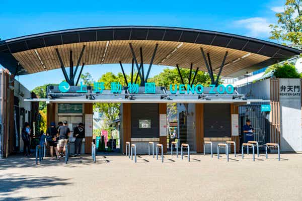 【栃木県内発】 日本でパンダを見られるラストチャンスかも？！秋の上野動物公園約3時間滞在と80年以上の歴史ある『築地場外市場」ぶらり散策♪　日帰り2
