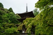 ◎WEB予約でリボンポイント２ポイント◎【津島・一宮発】＊日帰り昼食付＊『豊臣兄弟！ 北近江長浜 大河ドラマ館と千成亭の近江牛御膳』3