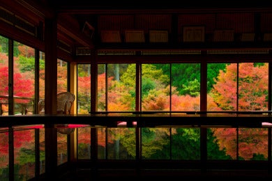 九州紅葉名所めぐり3日間～九年庵・御船山楽園・雷山千如寺・祐徳稲荷神社・竈門神社～1