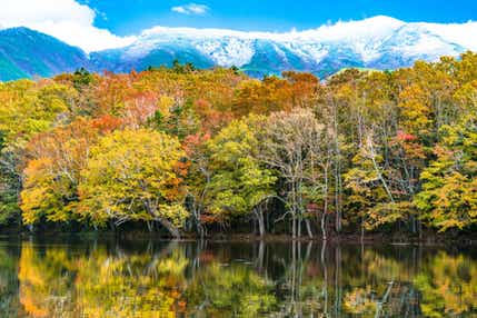 【伊丹空港発着】 秋彩に染まる!北海道大秋遊~知床・富良野・美瑛・釧路湿原・層雲峡・摩周湖~4日間(お寛ぎプラン)