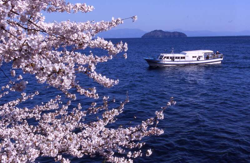 【静岡・新富士・三島発】 世界遺産　吉野千本桜と 日本さくら名所100選「海津大崎」・高野山桜名所めぐり　3日間2