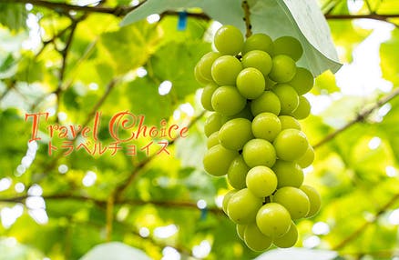 全日程催行決定🚌[新宿発]河口湖もみじ回廊散策＆嬉しいシャインマスカット狩り食べ放題や人気の桔梗信玄餅詰め放題体験等、大人の遠足日帰りバスツアー！