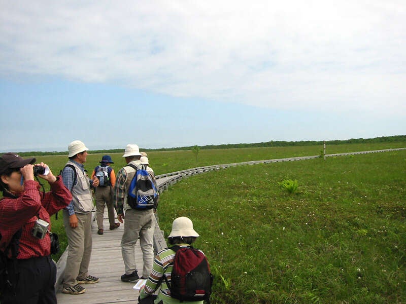 【神戸空港発着】釧路川カヌー・乗馬又は馬車・係留熱気球　３つの非日常体験！北海道感動大地４日間3