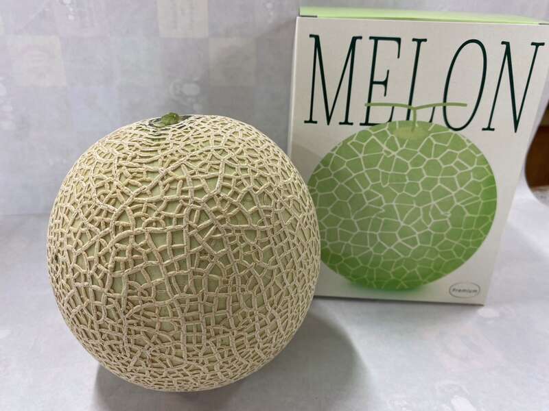 【和歌山県内発】 母の日ミステリー　日帰り1