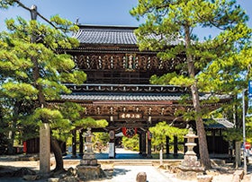 龍野・花田・三木　発
創作カニ×フランス料理と天橋立3