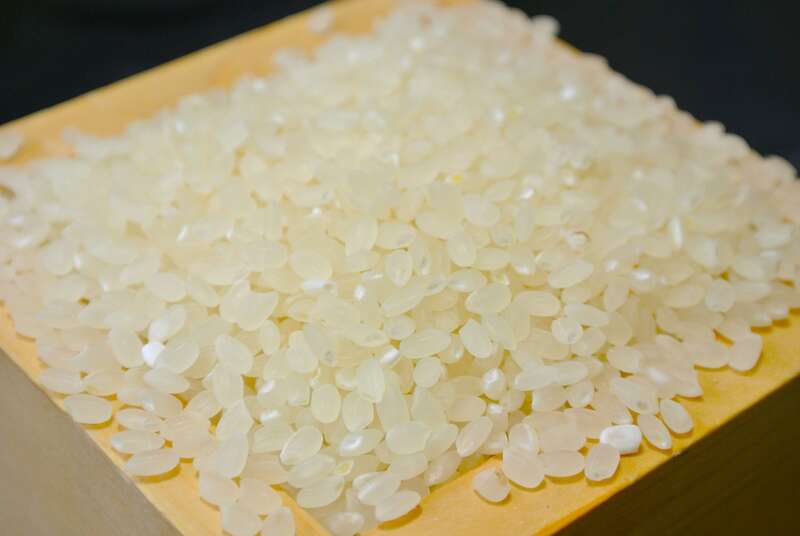 【東京都内発※町田を除く】 新米2㎏含む！合計約3.9㎏土産付き！ よみうり大創業祭ミステリーツアー 日帰り1