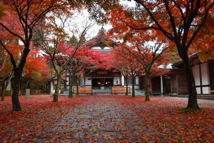 【防府・新山口発】食と景色７のこだわりポイントで贈る！こんな旅してみたかったミステリーツアー　日帰り
