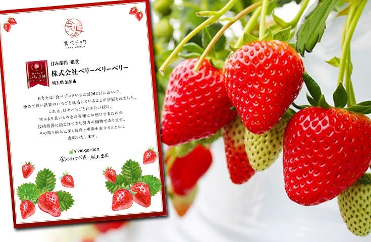 [新宿発]絶景！ひたち海浜公園『ネモフィラ』鑑賞＆『神戸牛しゃぶしゃぶ』食べ放題！嬉しいいちご狩り食べ放題もついた大満足の日帰りバスツアー！2