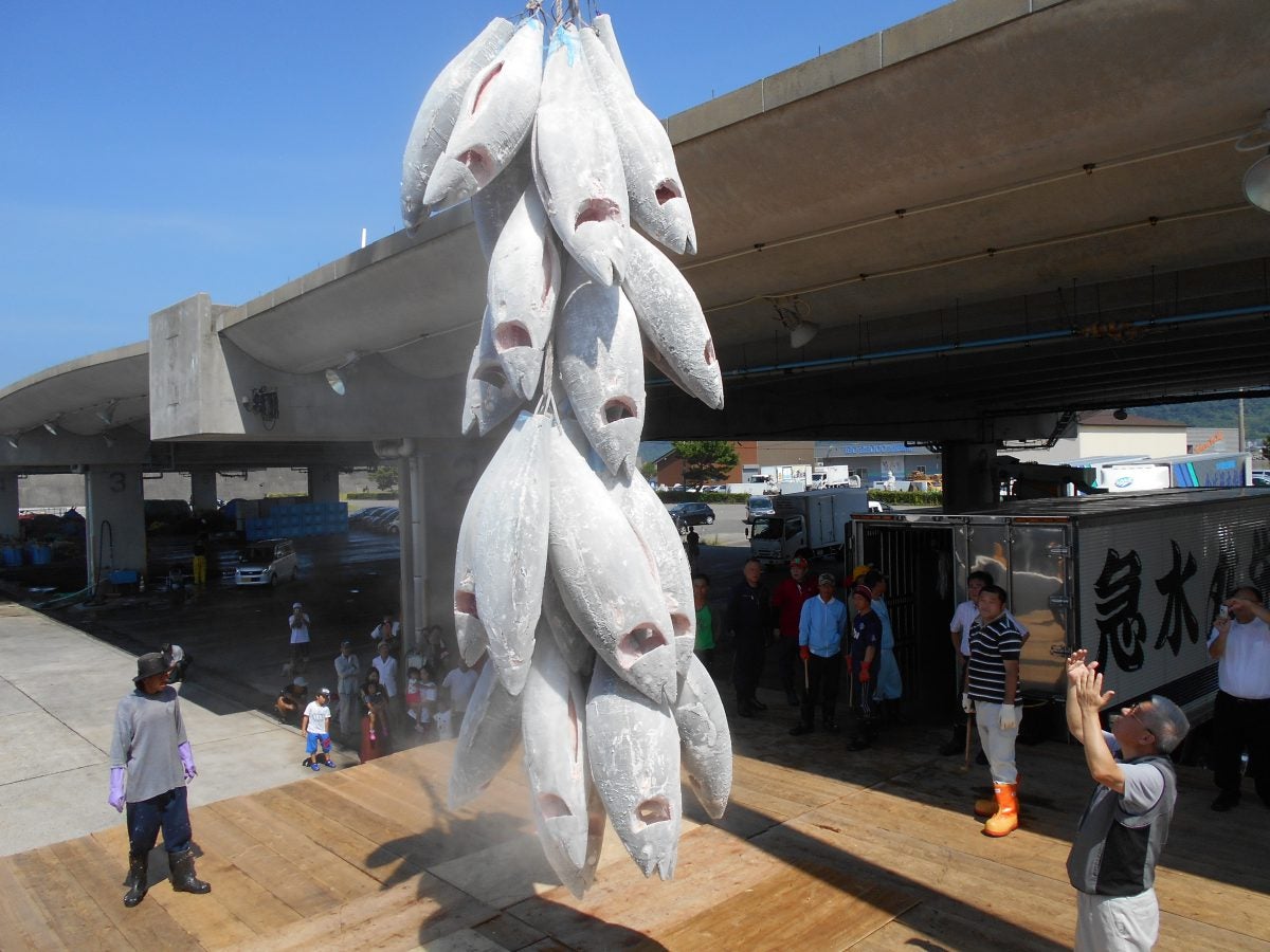 まぐろのまち串木野のとろける『特選まぐろ刺し御膳』とゆったり肥薩おれんじ鉄道🐟2