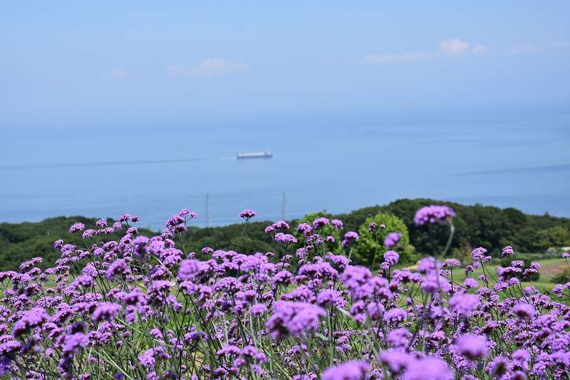 【山形県内発】 【スカイマーク仙台＝神戸便利用】読売旅行貸切！大塚国際美術館ナイトミュージアムと花咲く淡路・きままに神戸（3日間）1