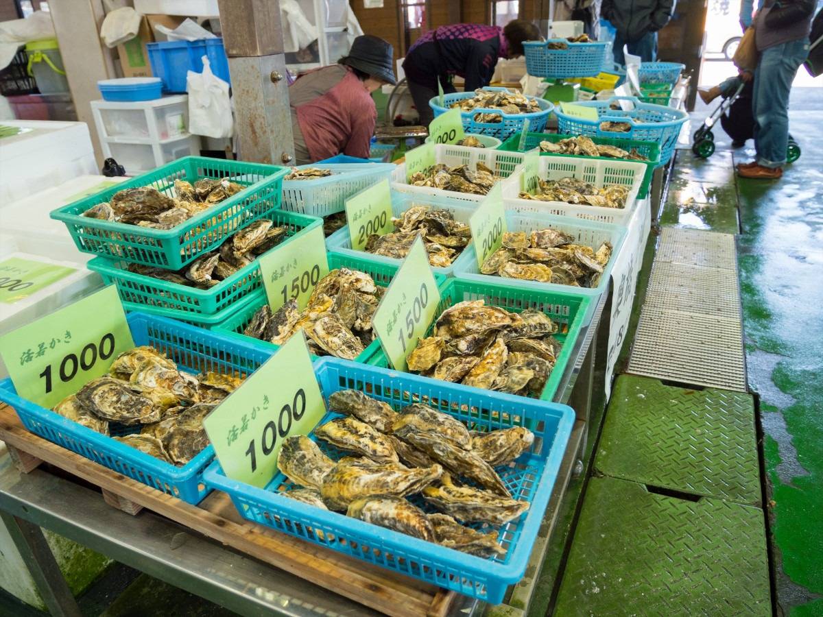 牡蠣の本場・日生産！牡蠣7種の牡蠣料理70分間食べ放題＆坂越レトロ街並みさんぽ【五位堂発】2