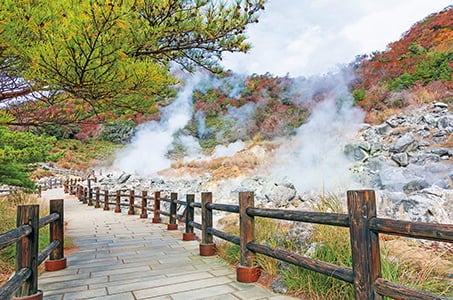 【3・4名様1室】2つの新幹線とゆふいんの森・南阿蘇鉄道で行く温泉リゾートホテル(3泊目)含む3つの名湯九州4日間　流れゆく季節と時間を車窓で愉しむ、心に残る旅。3