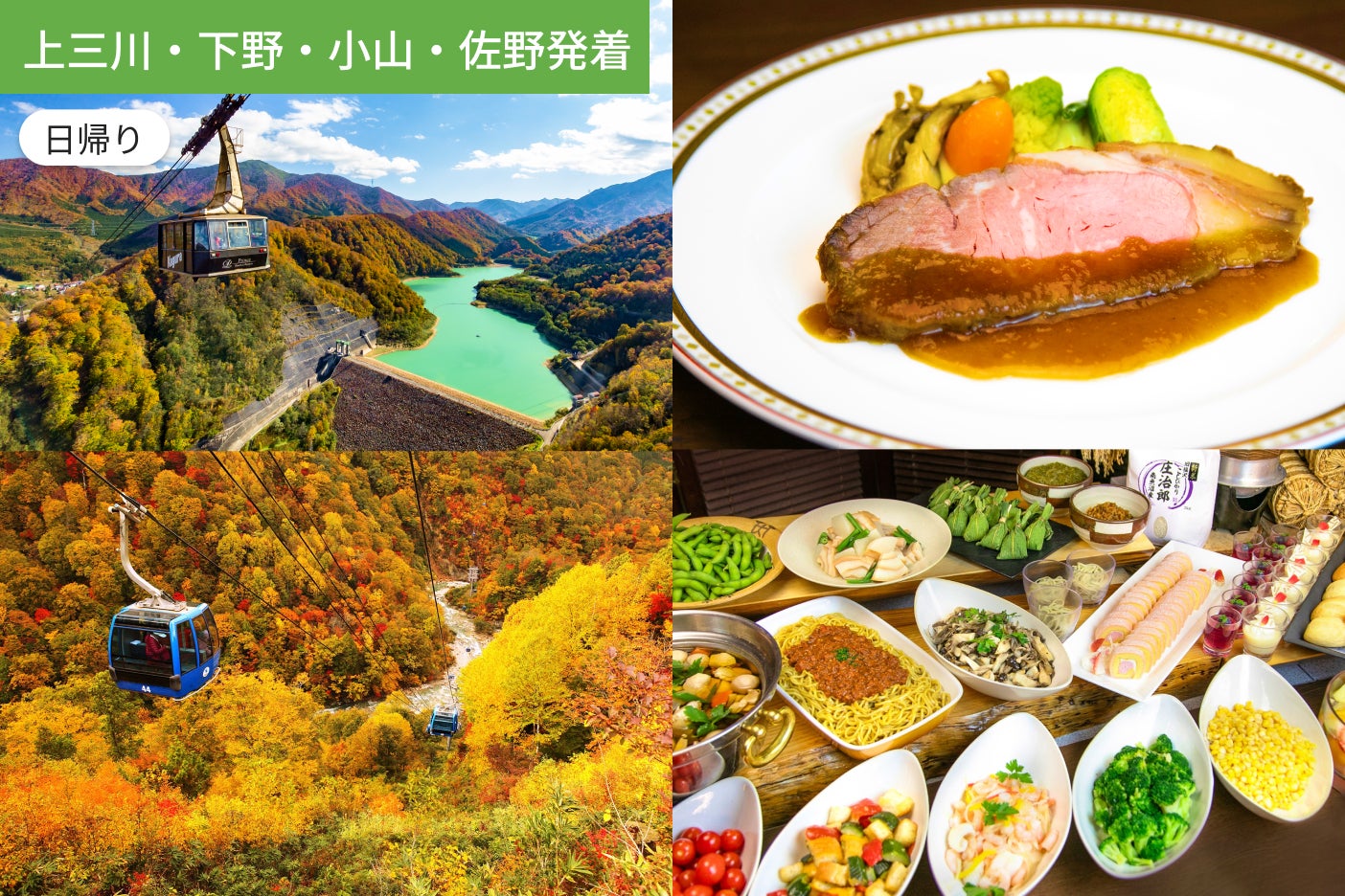 【Bルート上三川・下野・小山・佐野発着】一度は見たい！天空を彩る苗場の紅葉　ドラゴンドラ・田代ロープウェー【ホテルランチ付】1