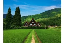 【名古屋駅発】＊１泊２食付＊『立山黒部アルペンルート通り抜け　SNOW WALL2026』2