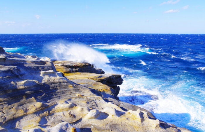 【梅田発】南紀白浜の絶景・千畳敷＆紀三井寺の桜参拝～種類豊富なランチバイキング付♪～1