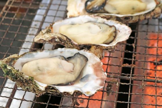 【福岡発／1泊2日】 温泉番付 西の横綱湯原温泉と 山陰山陽開運めぐり ～最上稲荷・金持神社・宇倍神社～ 牡蠣食べ放題＆カニしゃぶ～冬の味覚も満喫～2