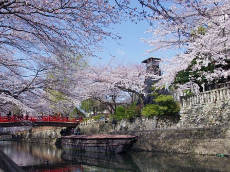 中部発　日帰り　５種の食べ歩きと食べ方選べる近江牛＆飛騨牛食べ比べ！1