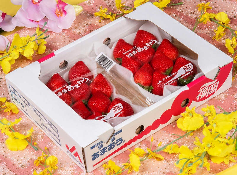 【千葉県内発】 いちご１箱付きミステリーツアー1