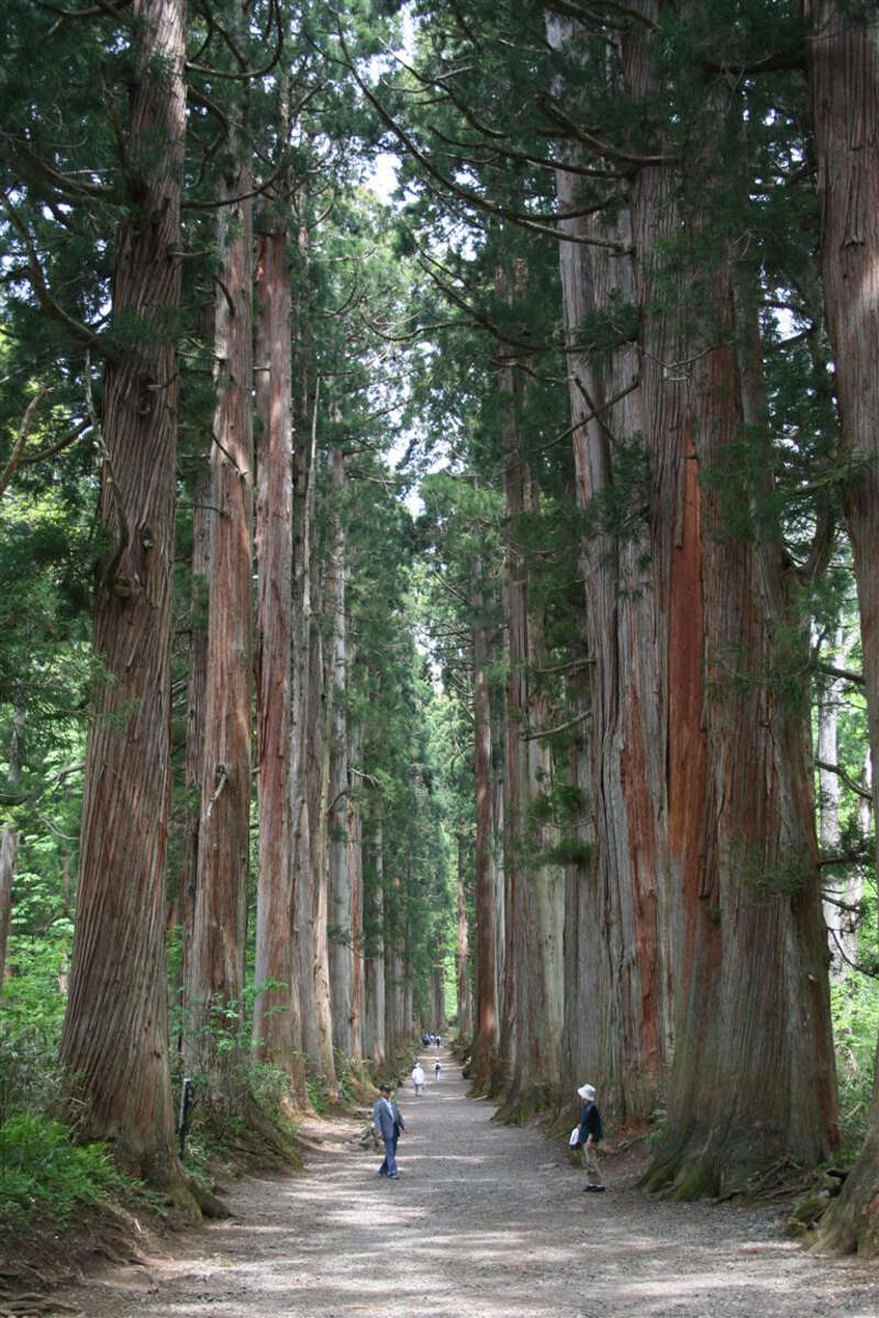【青森県・新幹線駅発】 新幹線で行く！上州信州ぐるっと周遊　 日本一の富士山の麓「富士山五合目」「河口湖ハーブフェスティバル」　高山植物の宝庫　霧ヶ峰ビーナスライン　旧軽銀座 3日間3
