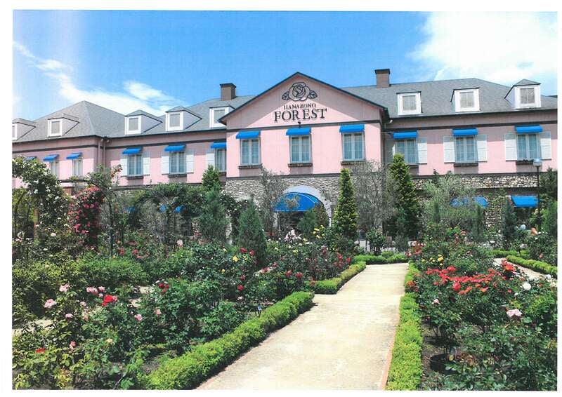 【神奈川県内・町田発】 爽快！大迫力の長瀞ラインくだり　名勝・岩畳と秩父名物ランチ＆かき氷3