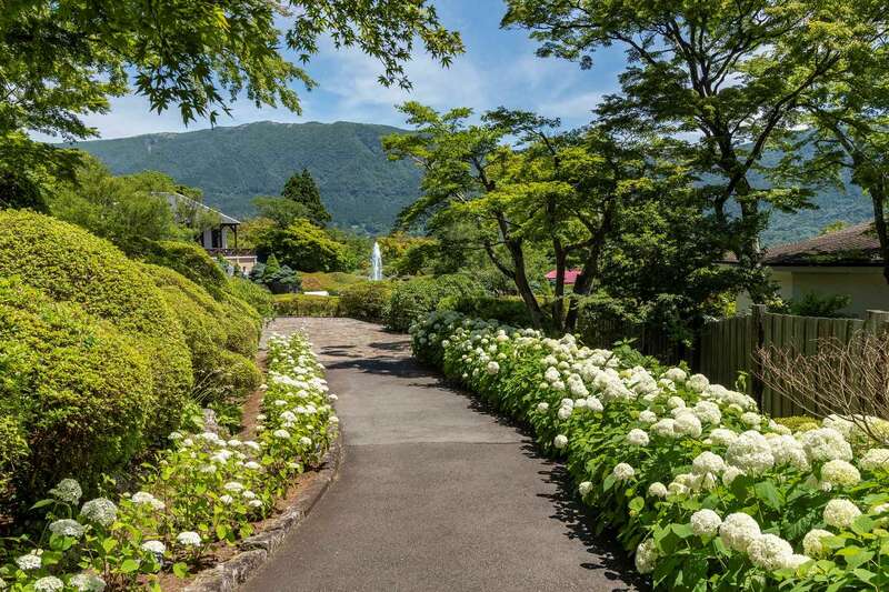 【群馬県内発】 箱根あじさい列車と名所・強羅公園　箱根湯本温泉街さんぽ　日帰り2