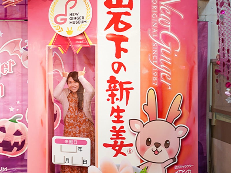 🔥催行決定12/1🔥【新宿発】日帰りバスツアー🚌『6,000円台～ぶっとび格安✨』日本３大イルミネーション「あしかがフラワーパーク」光の花の庭鑑賞🌹✨＆蛸屋 工場直売おかしパーク「栃木銘菓 みかもの月」詰め放題😋＆SNS映え確実📸「岩下の新生姜ミュージアム」＆日本のど真ん中！「道の駅 どまんなかたぬま」でショッピング👜2