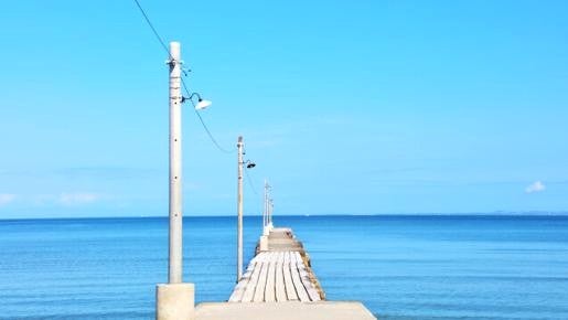 ＜Web割対象商品＞【キングツアーバス旅】皇室へ献上している初夏の味覚「房州びわ」もぎ取り食べ放題♪絶景！レトロな木製桟橋＆富津名物 海堡丼〔府中・調布発〕2
