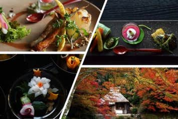 【広島駅新幹線口発着／日帰り】紅葉の吉水園一般公開とイタリアン精進料理 日帰り 1