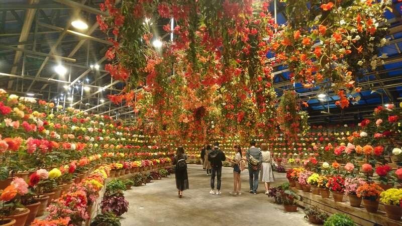 【富山県内発】 国内最大級の煌めき！なばなの里イルミネーションと　熱田神宮・伊勢神宮外宮内宮両参り２日間2