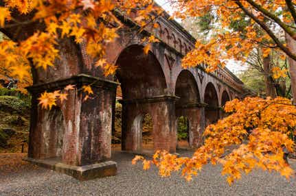 【富山県内発】 秋の南禅寺と永観堂と平安神宮参拝