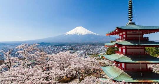 桃と桜に包まれる旅　２泊３日