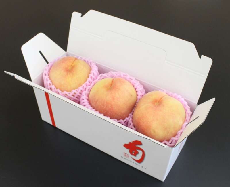 【富山県内発】 信州もも尽くしと野尻湖遊覧船3