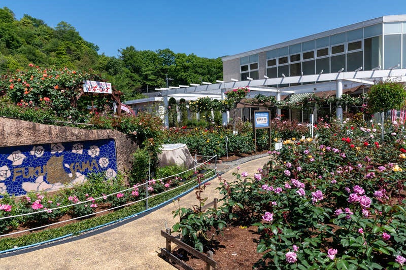 【JR福山駅発】Ｓ１席で観る♪劇団四季『マンマ・ミーア！』とリーガロイヤルホテル広島deランチ　日帰り3