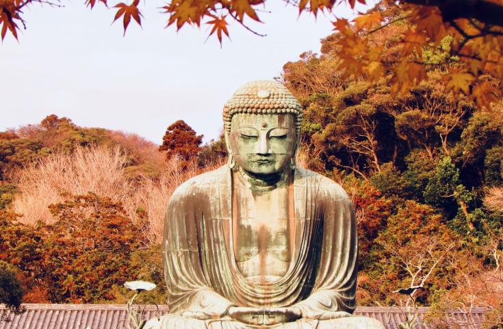 [池袋/新宿発]日本を代表する歴史スポットの古都・鎌倉散策＆アニメや映画のロケ地として有名で写真映えするスポットの江の島散策！(英語ガイド付)1