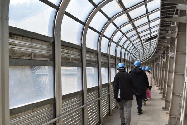 【岡山発着】とうもろこし収穫体験と温井ダムバックヤードツアー　お土産付き！2