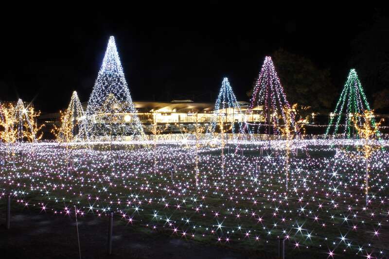 【静岡県内発】 クリスマスミステリー1